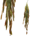 Plante artificielle Succulente — Vert