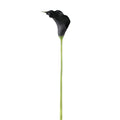 Fleur artificielle Lys — Noir