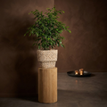 Pot Liselot — Ciment — L