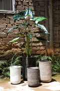 Pot Deliahe — Ciment — Set de 3 — Gris