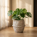 Pot Haania — Ciment — XL