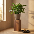 Pot Lianna — Ciment — Beige