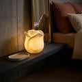 Lampe LED Aveda — Résine Rose Rechargeable Haut
