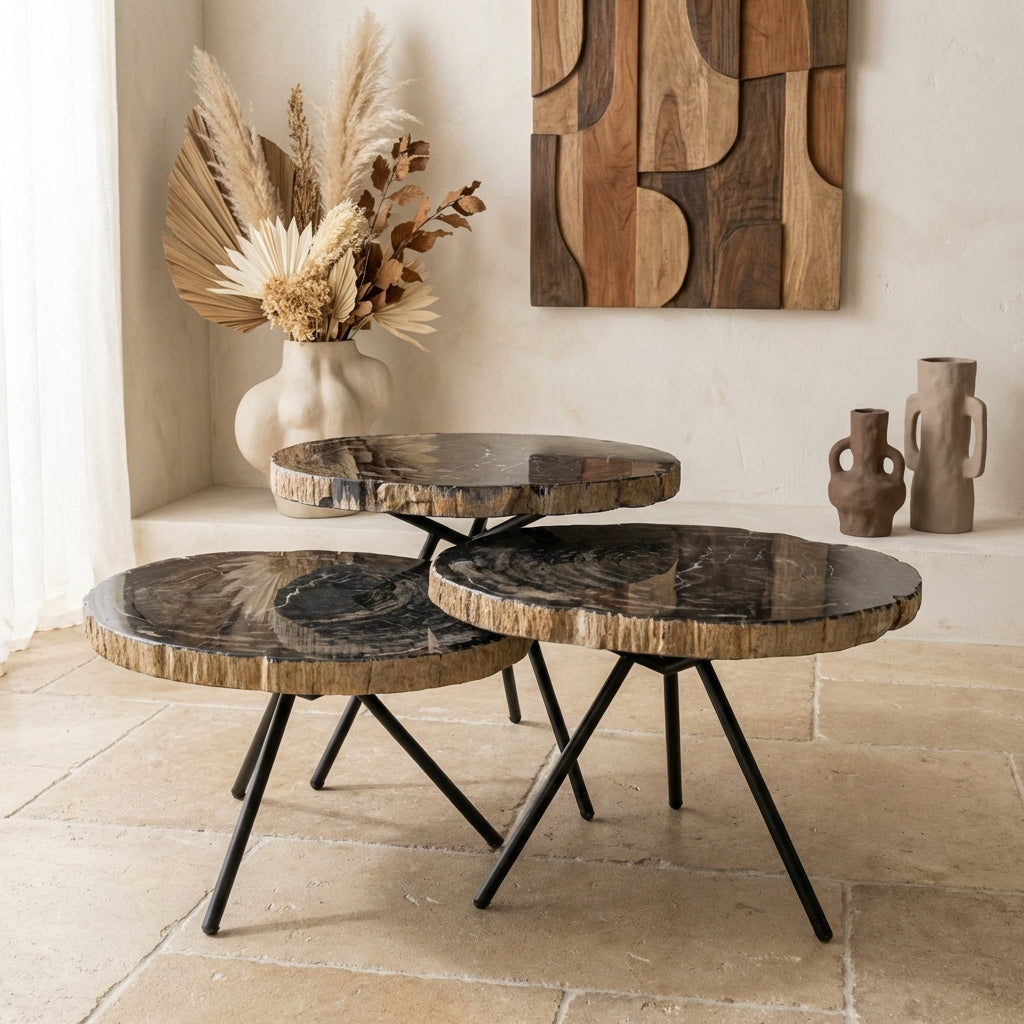 New Khine Petrified wood coffee table black SV3
