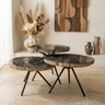 New Khine Petrified wood coffee table black SV3
