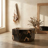 Rayn Petrified wood black coffeetable M