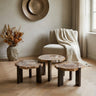 Rudi Natural petrified wood coffeetable nickel SV3