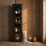 Dailey Black wooden cabinet smoky glass door