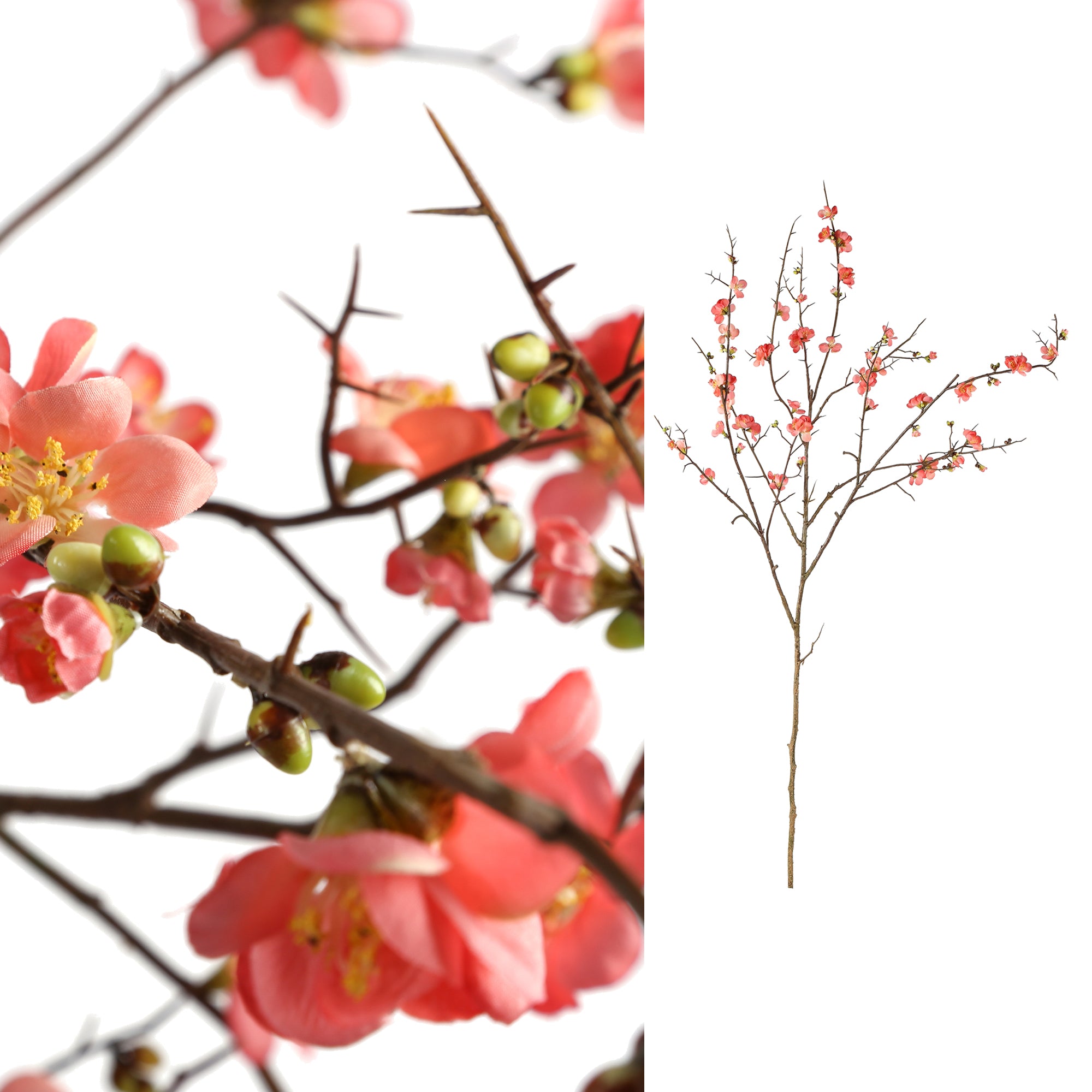 blossom flower pink cherry blossom l — Fleur artificielle — Fleur artificielle design premium | Häus