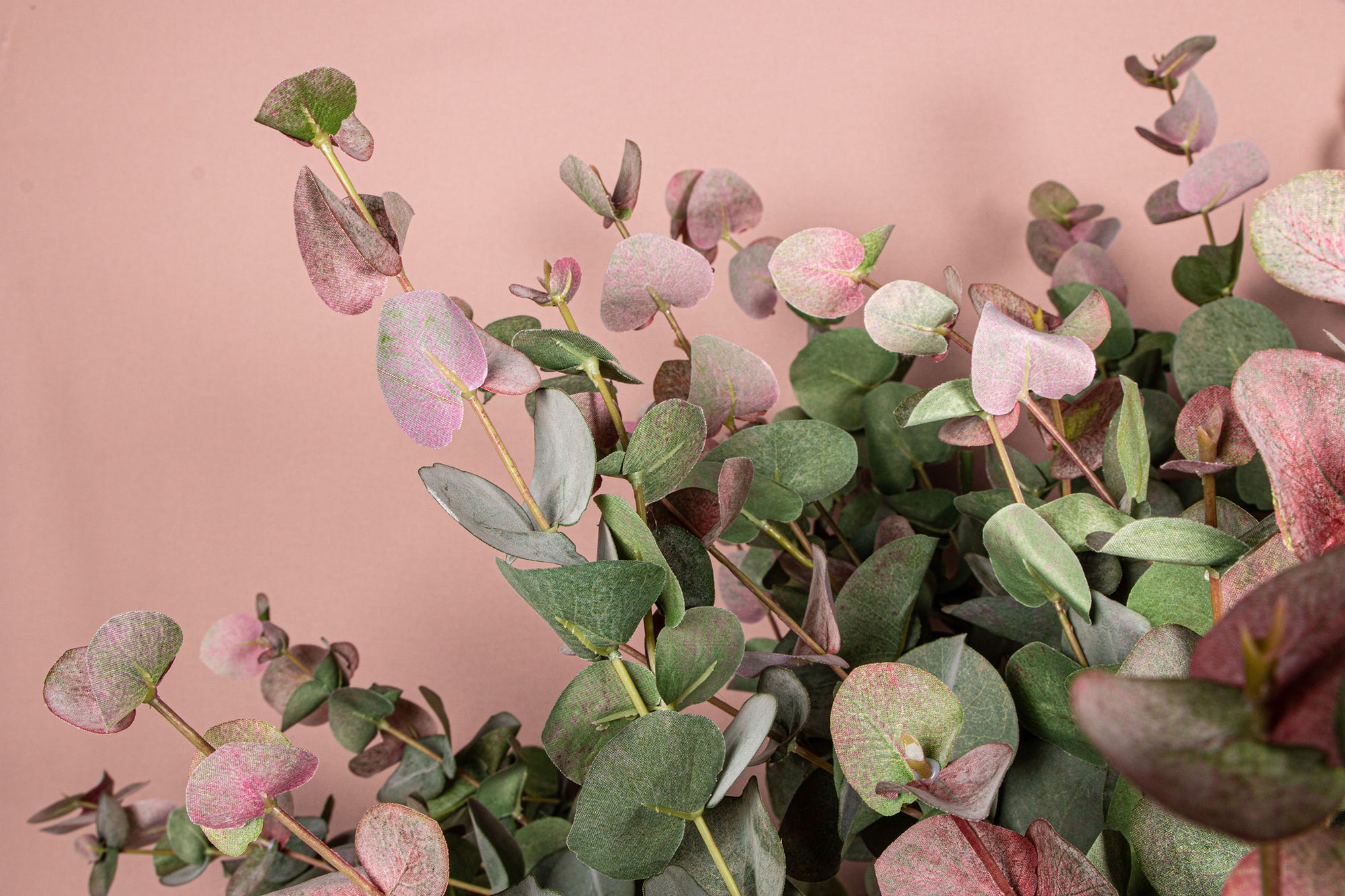 leaves plant green eucalyptus pink leaves — Feuille artificielle — vue 3 | Häus