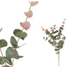Feuille artificielle Eucalyptus — Vert
