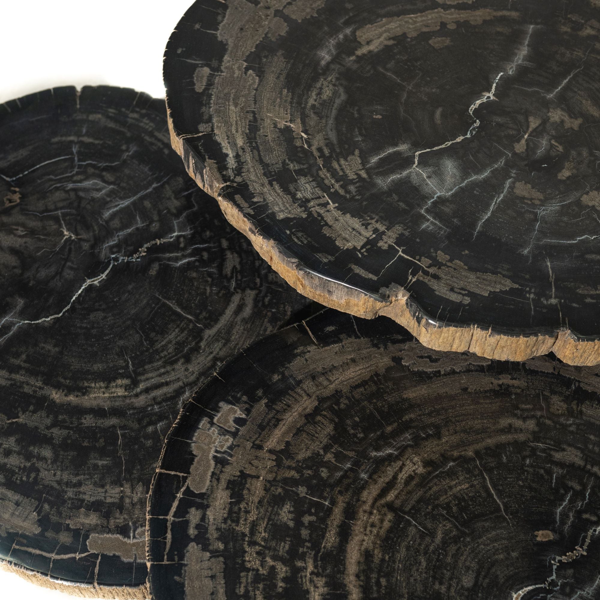 New Khine Petrified wood coffee table black SV3 - Photo 2