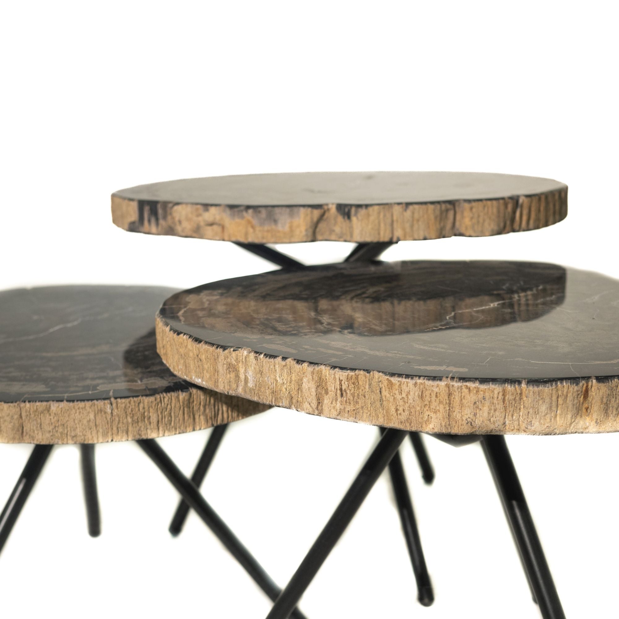 New Khine Petrified wood coffee table black SV3 - Photo 3