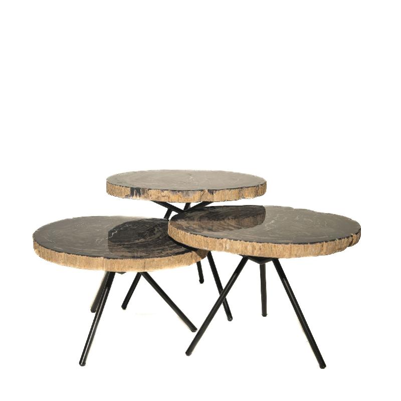 New Khine Petrified wood coffee table black SV3