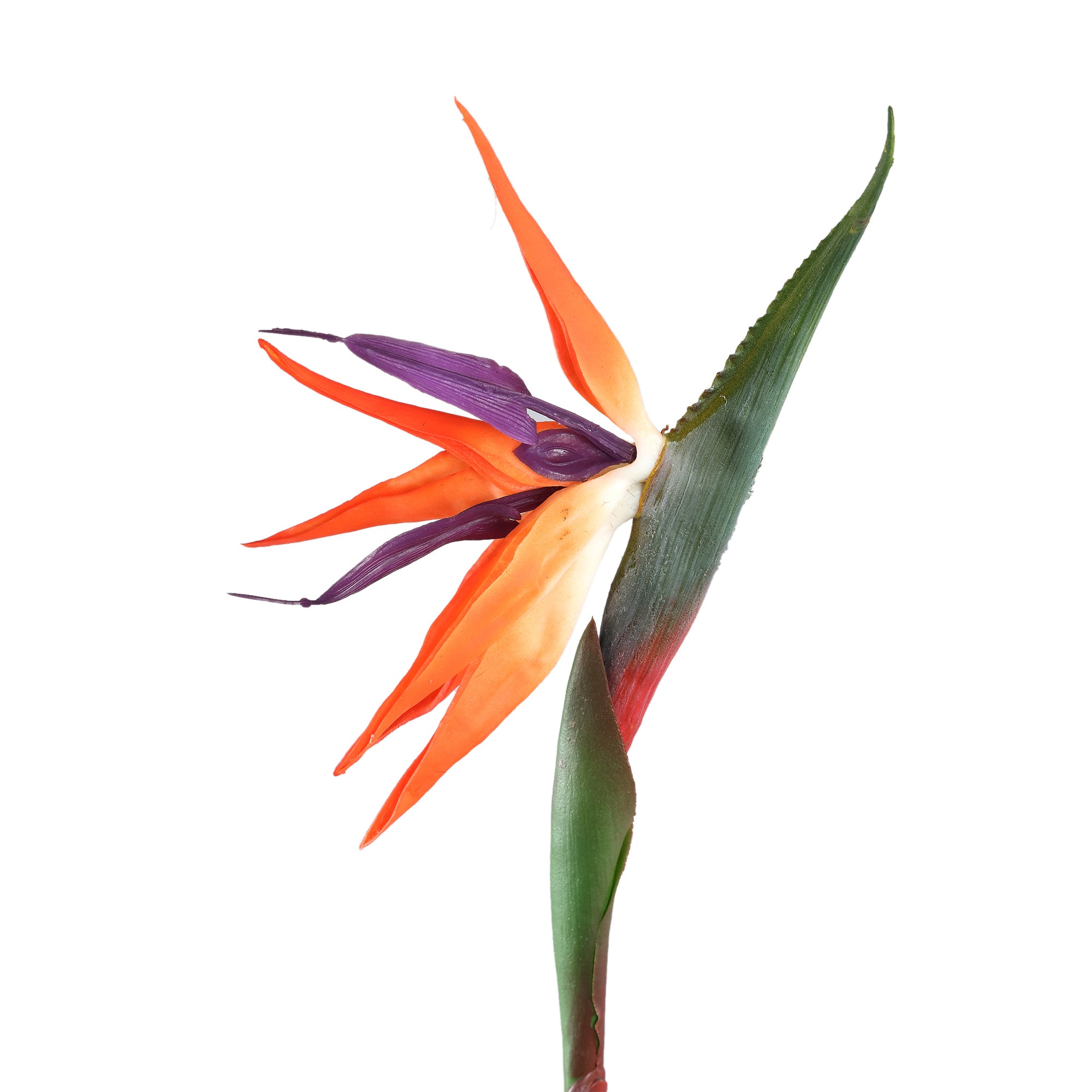 Garden flower orange bird of paradise — Fleur artificielle — vue 2 | Häus