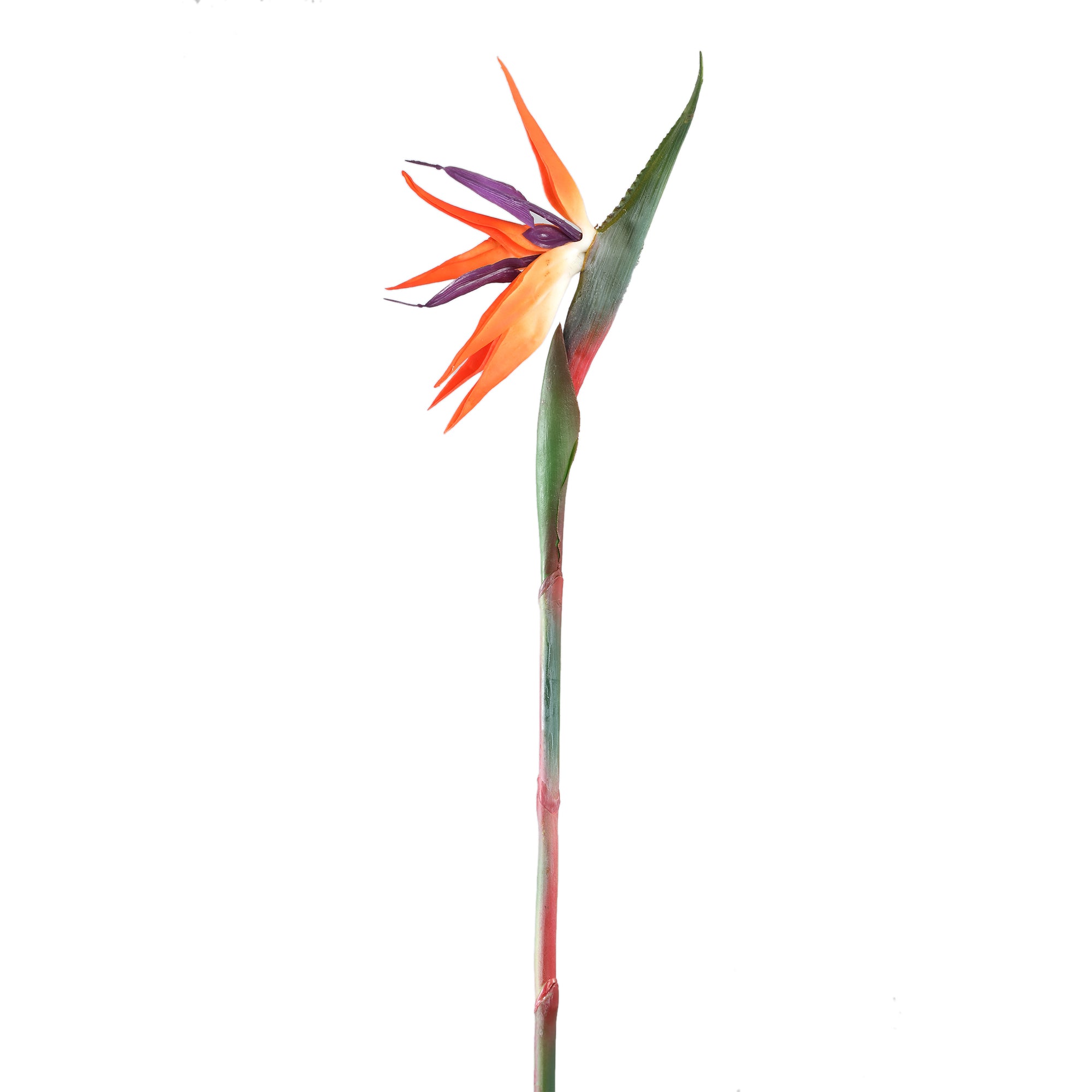 Garden flower orange bird of paradise — Fleur artificielle — Fleur artificielle design premium | Häus