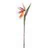 Garden flower orange bird of paradise — Fleur artificielle — Fleur artificielle design premium | Häus