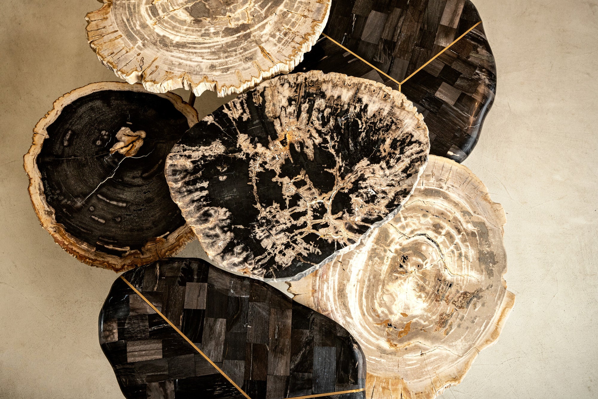 New Khine Petrified wood coffee table black SV3 - Photo 4