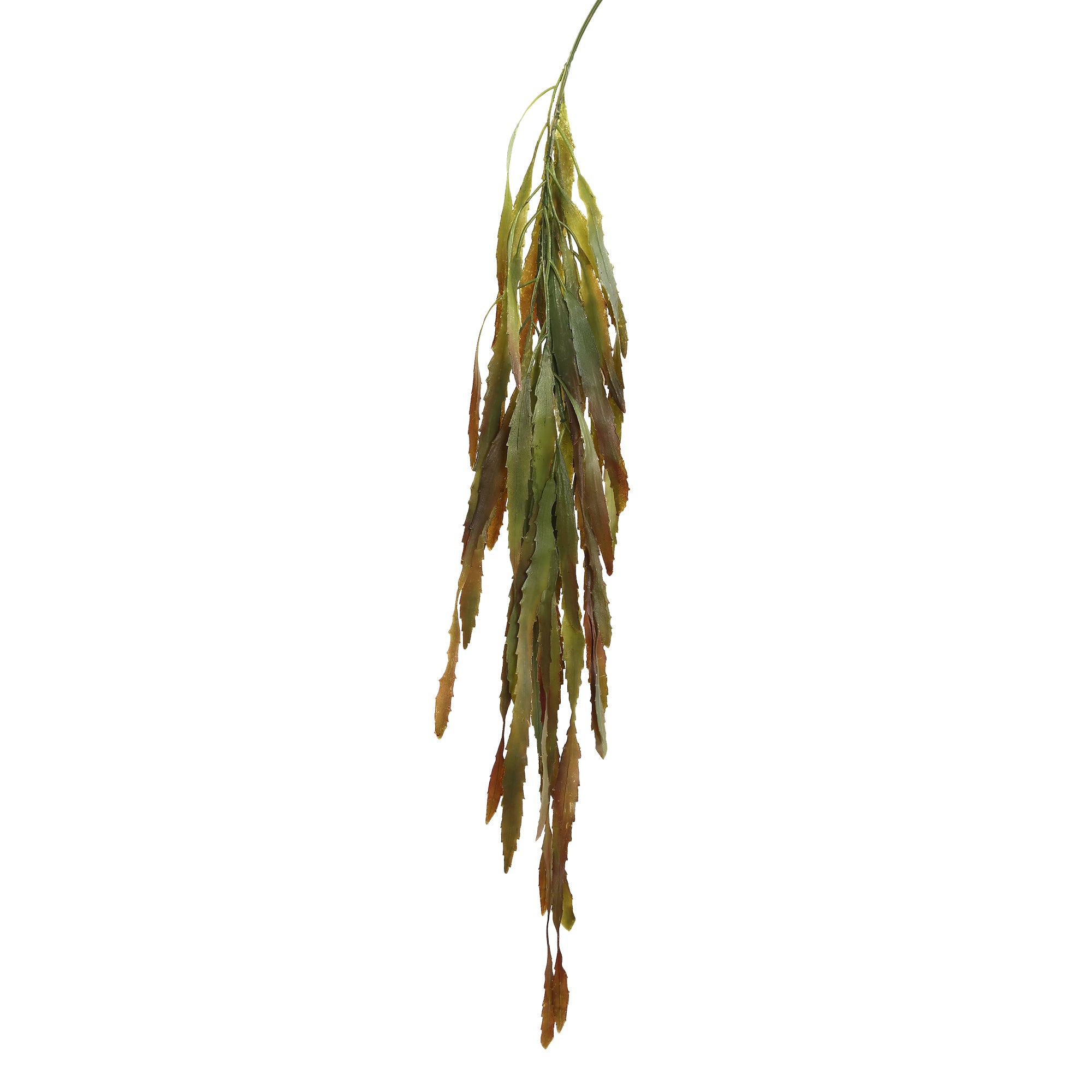 Succulent Plant green with brown hanging fern Vert — Plante artificielle — vue 2 | Häus