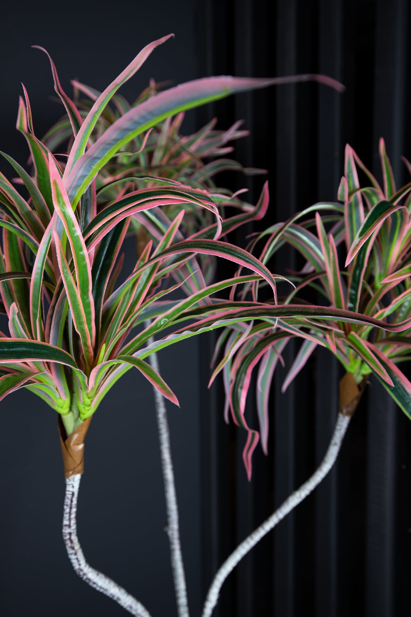 Leaves Plant green red edge sisal grass in black p — Feuille artificielle — vue 3 | Häus