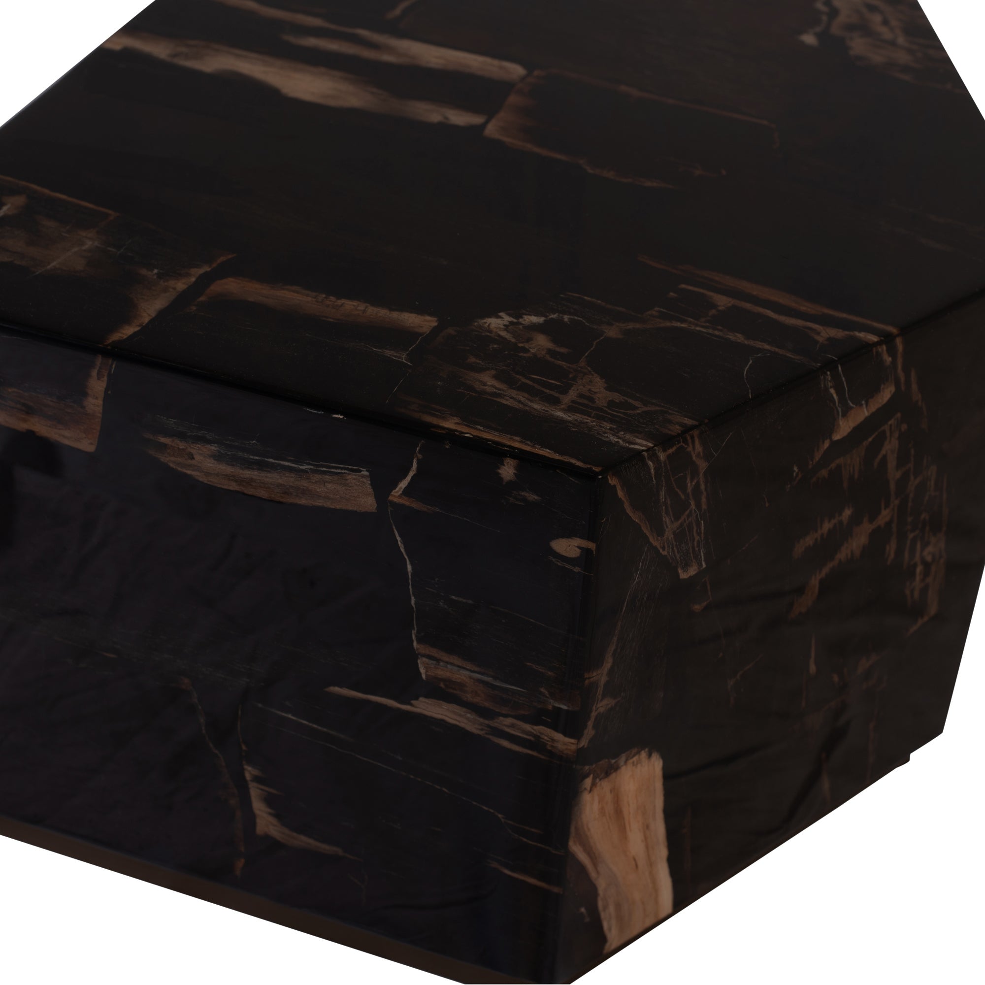 Rayn Petrified wood black coffeetable M - Photo 3