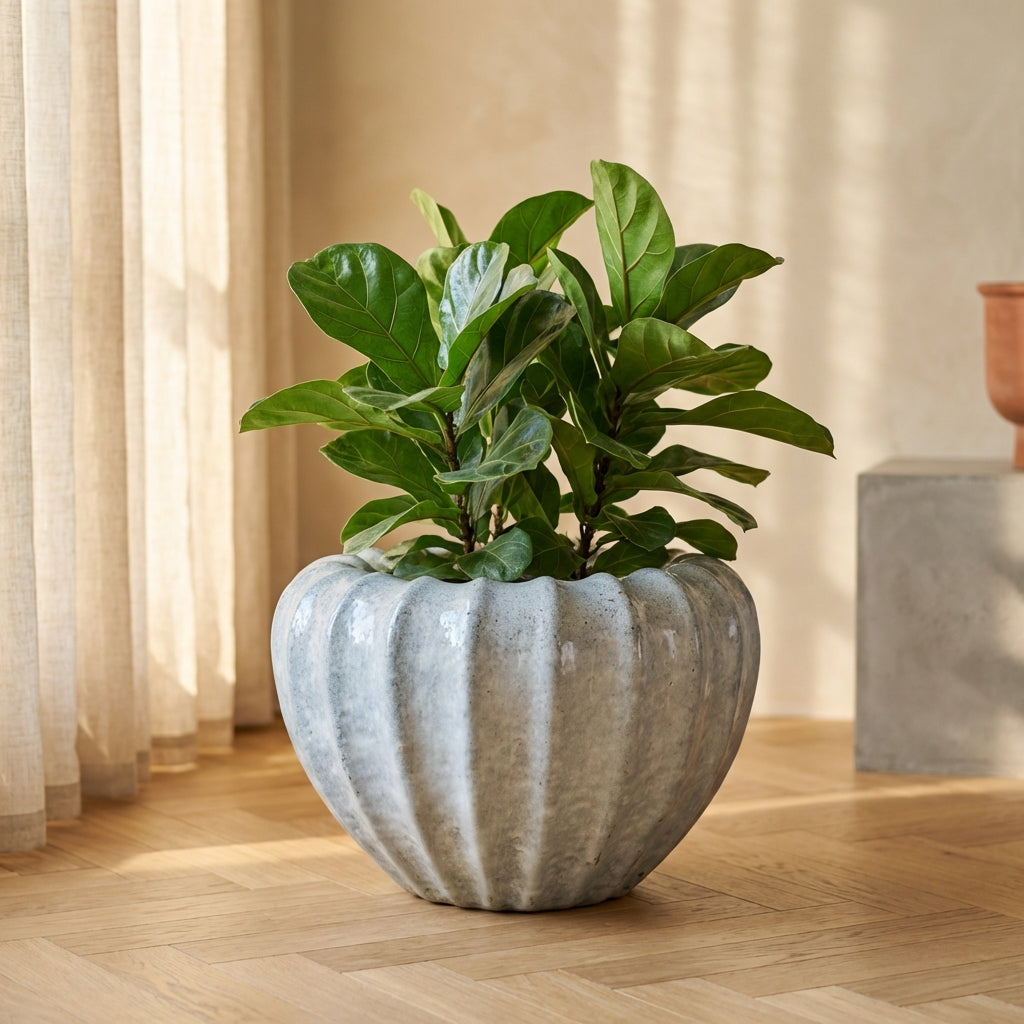 Jinah Pot en - Blanc