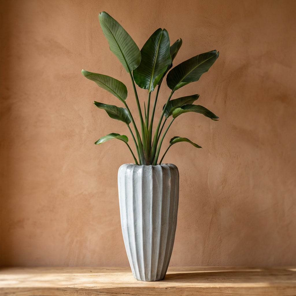 Linex Pot en - Blanc