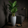 Pot Linex — Blanc