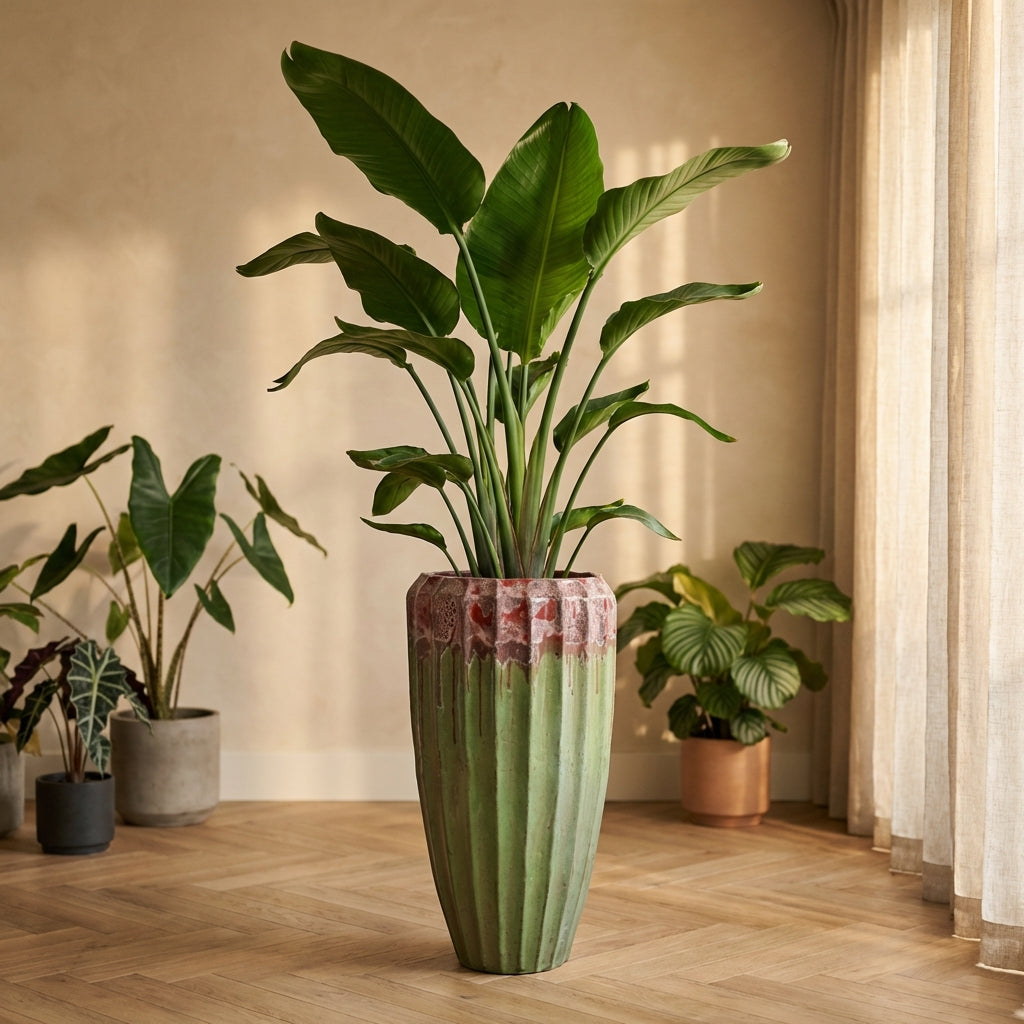 Olver Pot en - Vert