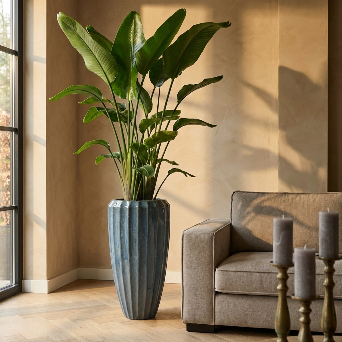Pot Olver — Photo lifestyle