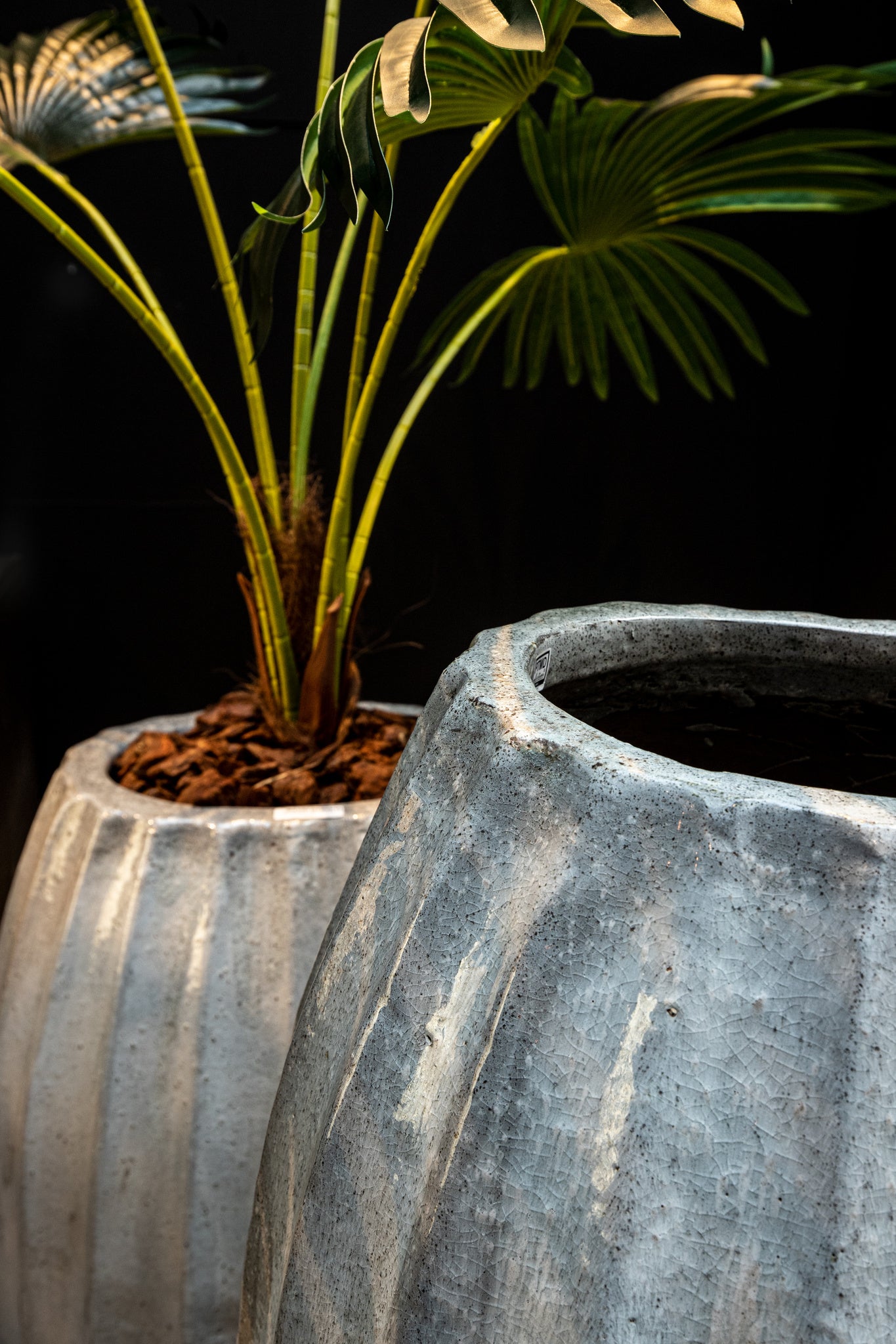 Lionne Pot en - Blanc