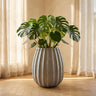 Pot Lionne — Blanc