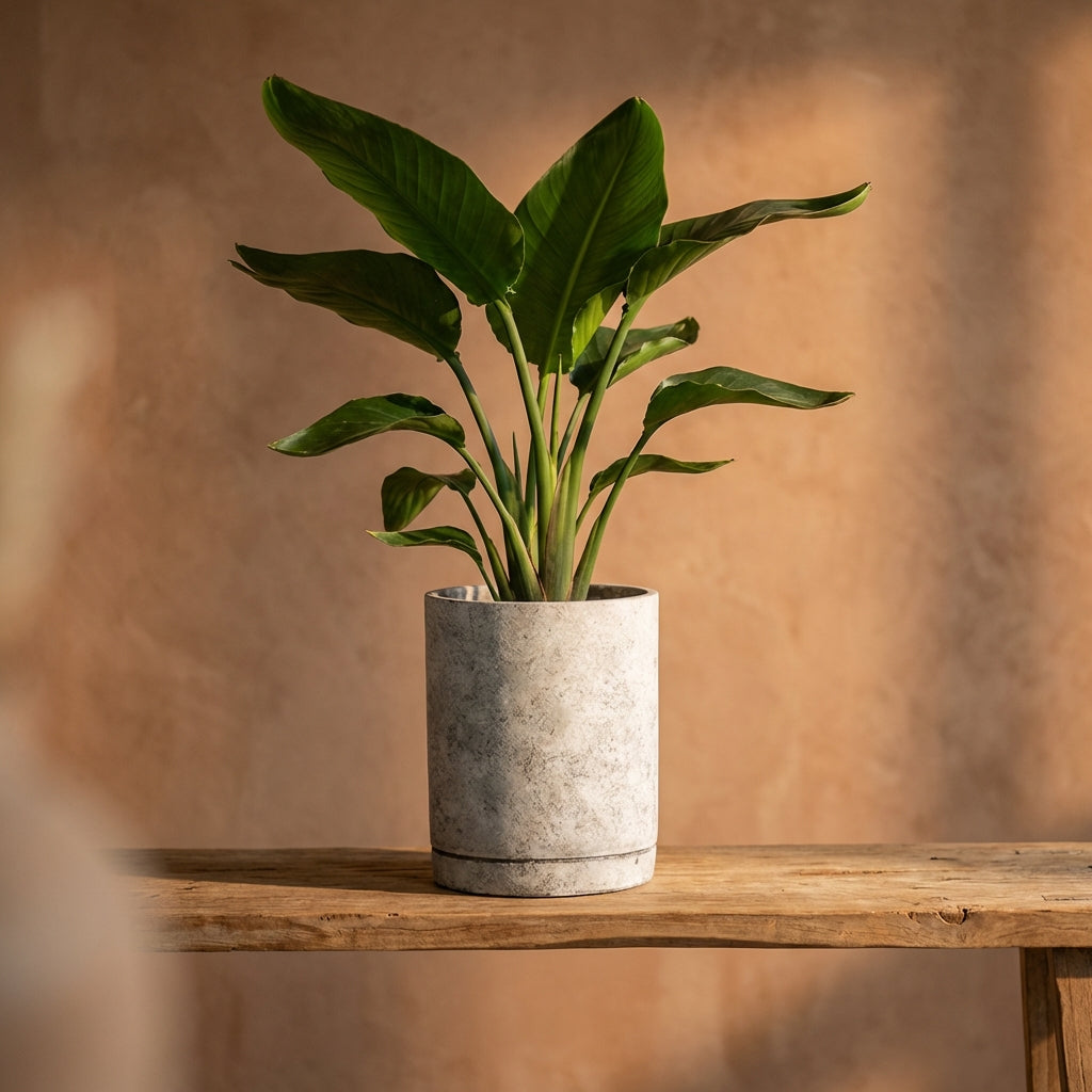 Vik Pot en  - Vue 7