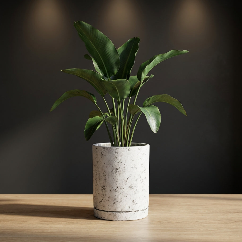 Vik Pot en  - Vue 2