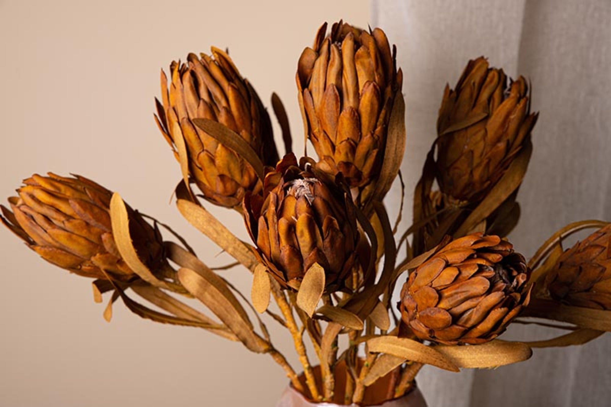 Twig Plant light brown queen protea Light Brown — Fleur artificielle — vue 2 | Häus