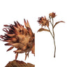 Leaves Plant rusty artichoke spray Copper — Fleur artificielle — Fleur artificielle design premium | Häus