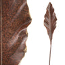 Plante artificielle Marron — Marron