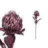Leaves Plant metallic pink protea Rose — Feuille artificielle — Feuille artificielle design premium | Häus