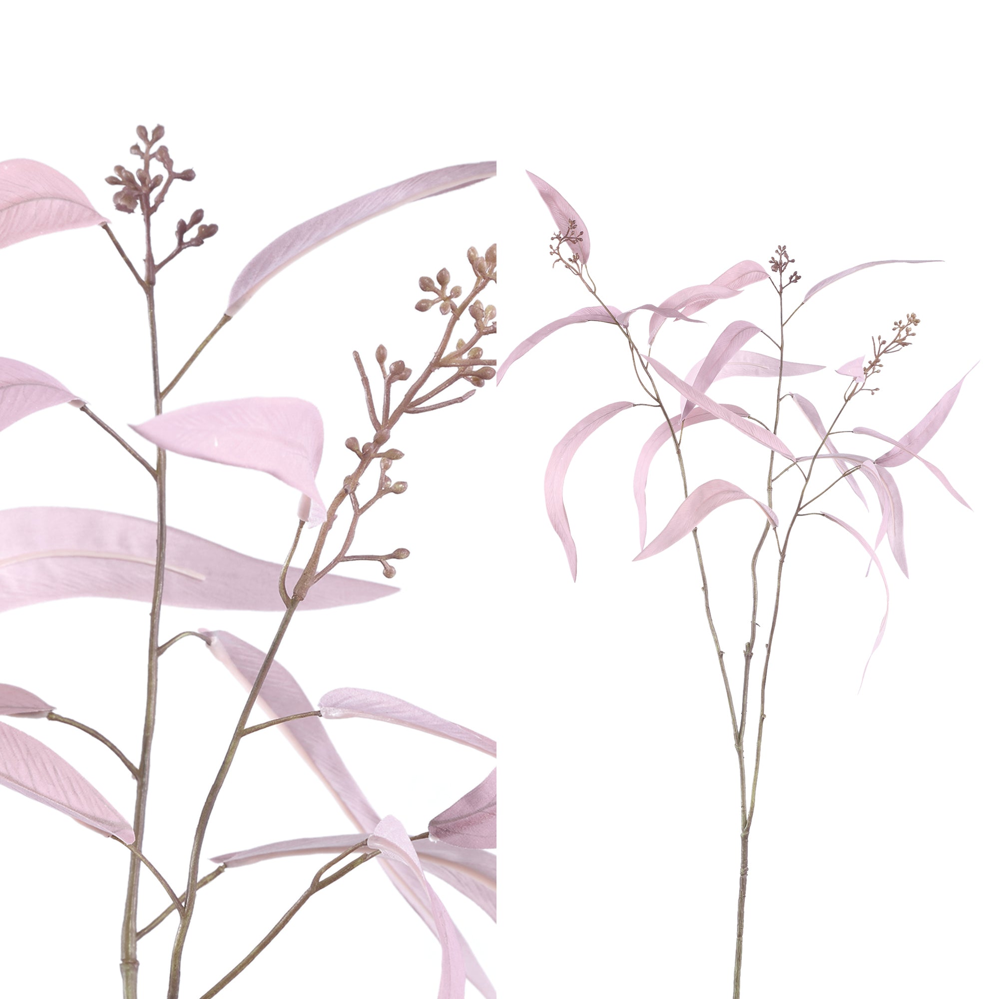 Leaves Plant pink eucalyptus leaves spray with see Rose — Feuille artificielle — Feuille artificielle design premium | Häus