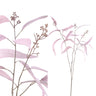 Leaves Plant pink eucalyptus leaves spray with see Rose — Feuille artificielle — Feuille artificielle design premium | Häus