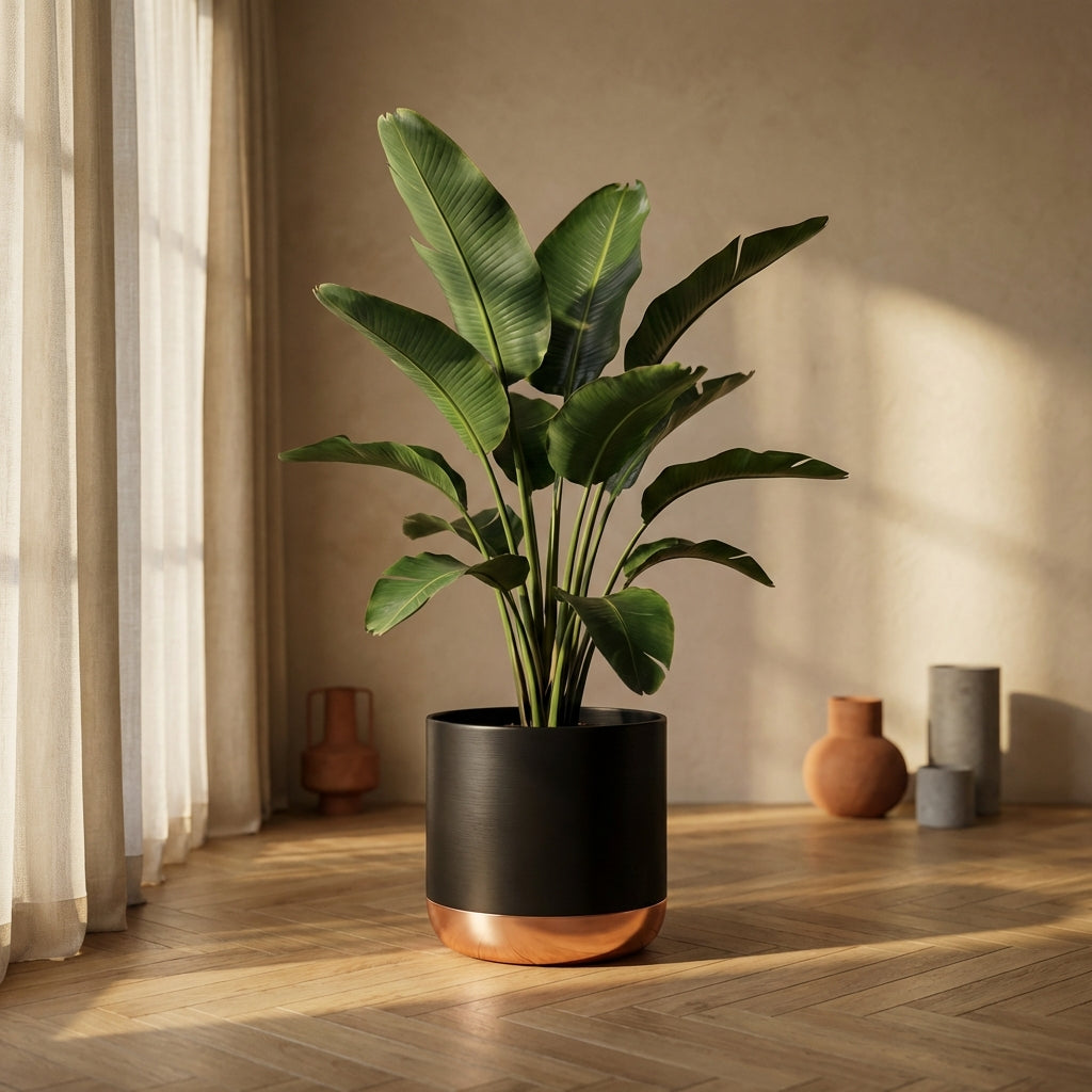 Nouska Pot en - M (57x57x59 cm)