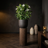Pot Nouska — Photo lifestyle