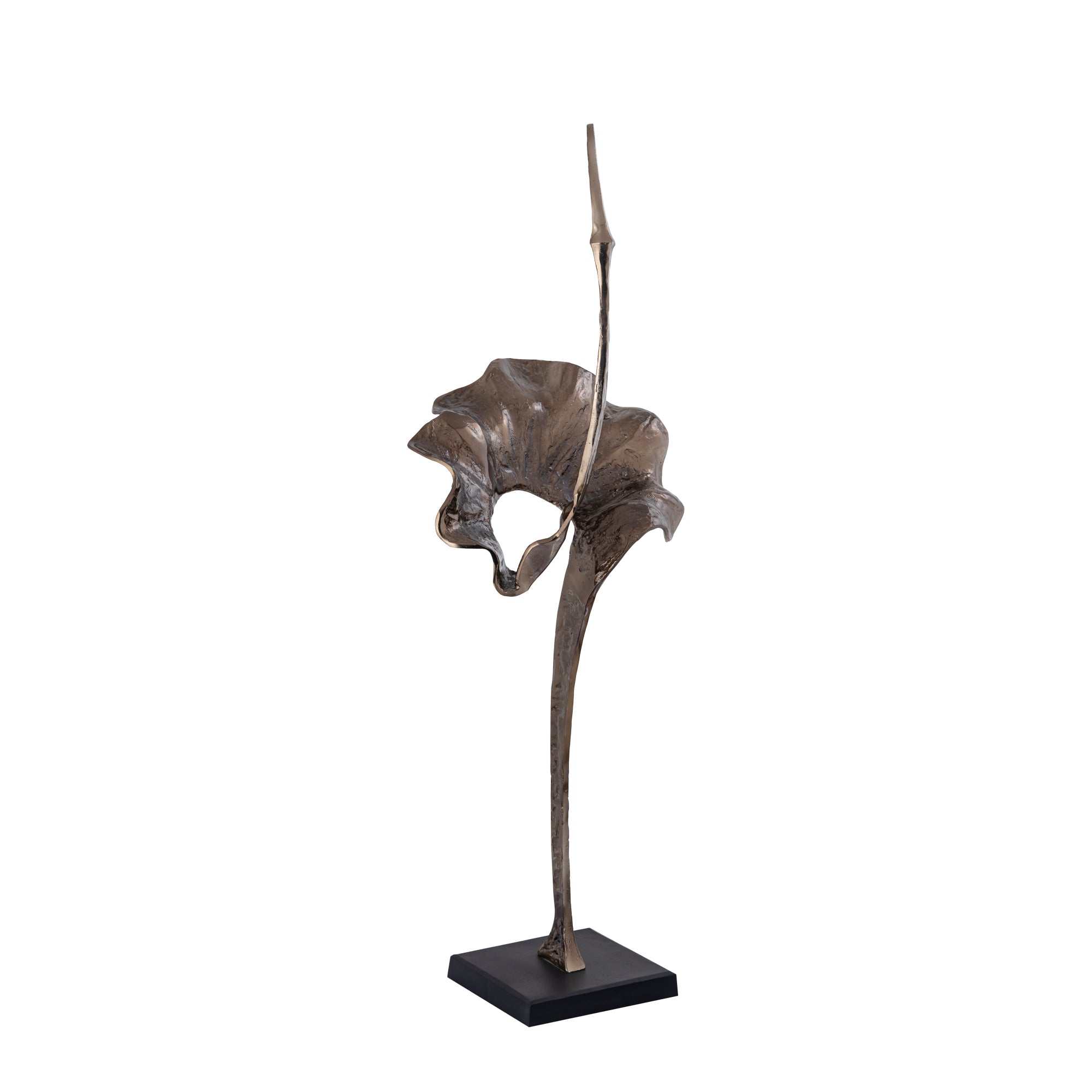 Yobie Brass extreme casted alu statue black base L
