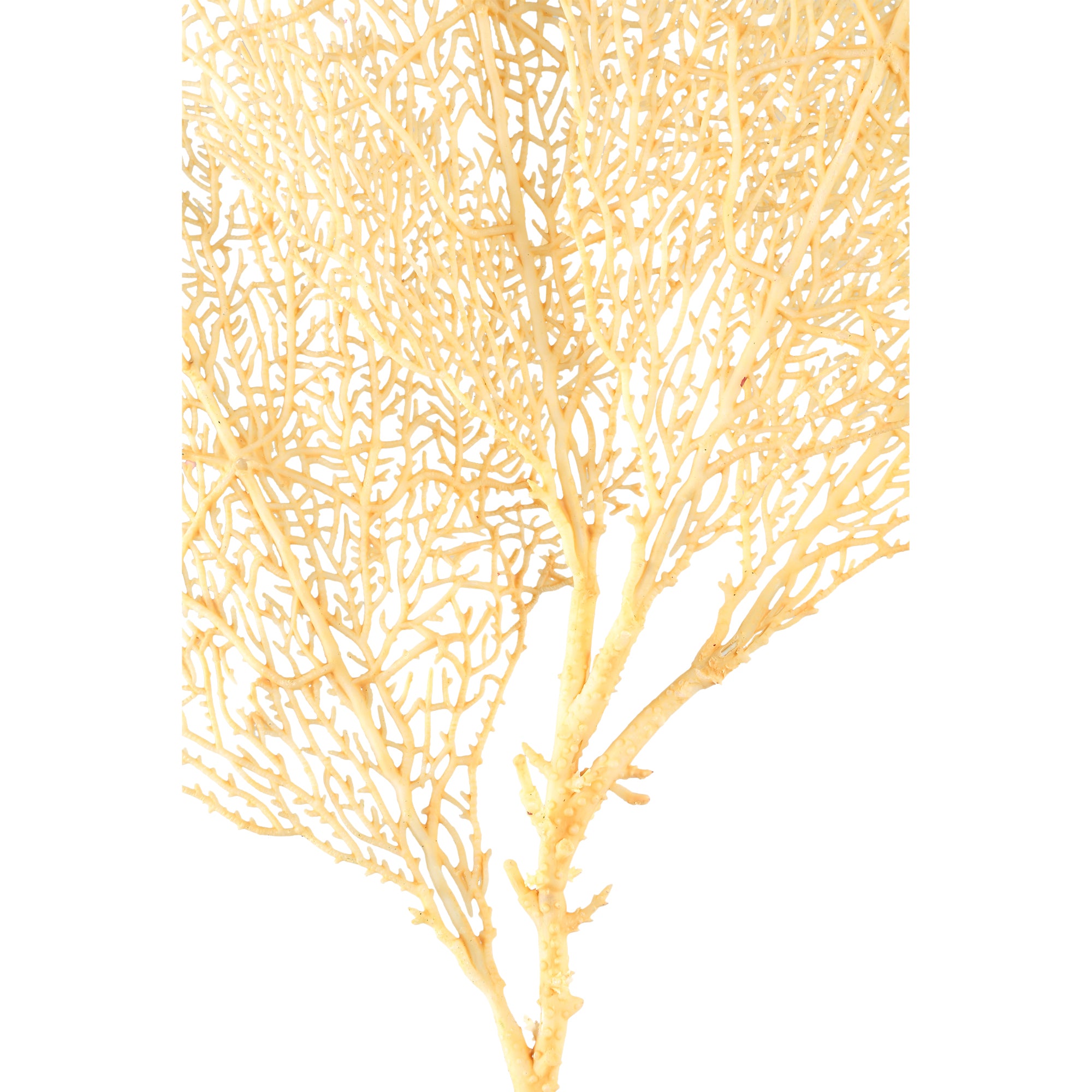 Leaves Plant cream coral spray Crème — Feuille artificielle — vue 2 | Häus
