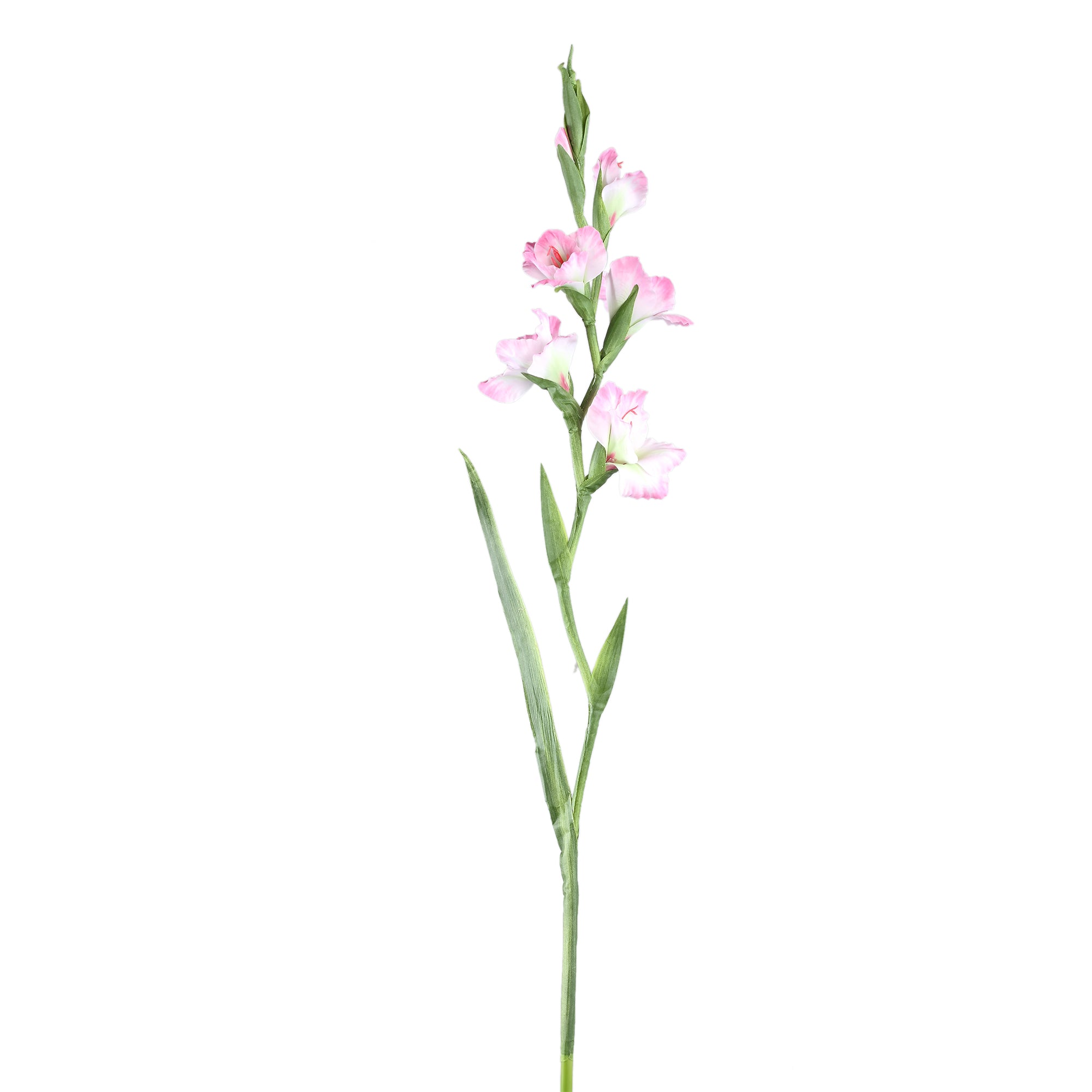 Garden Flower light pink Gladiolus with leaves Rose clair — Fleur artificielle — Fleur artificielle design premium | Häus