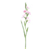 Garden Flower light pink Gladiolus with leaves Rose clair — Fleur artificielle — Fleur artificielle design premium | Häus