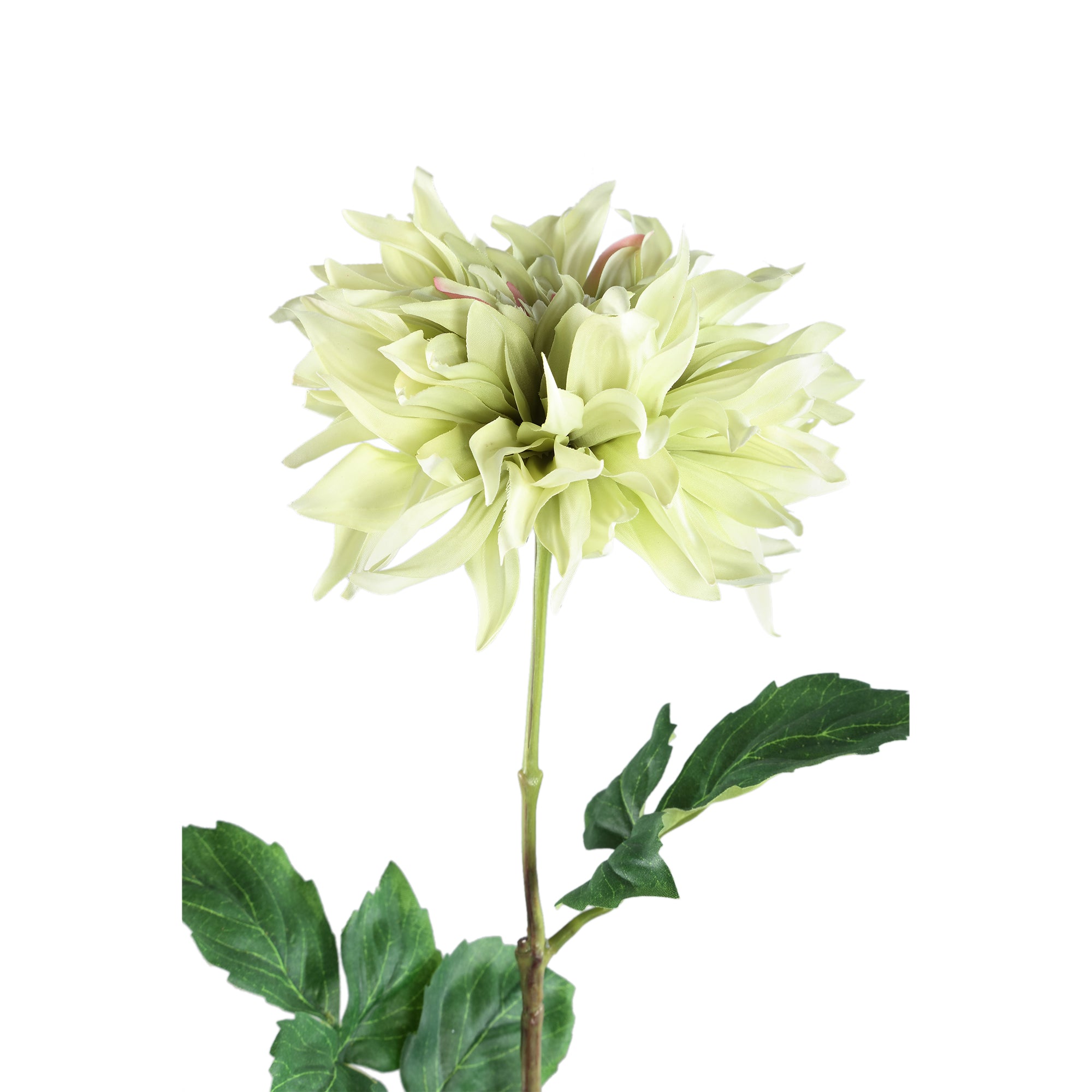 Dahlia Flower green with leaves 65280 — Fleur artificielle — vue 3 | Häus
