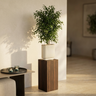 Pot Eviera — Photo lifestyle