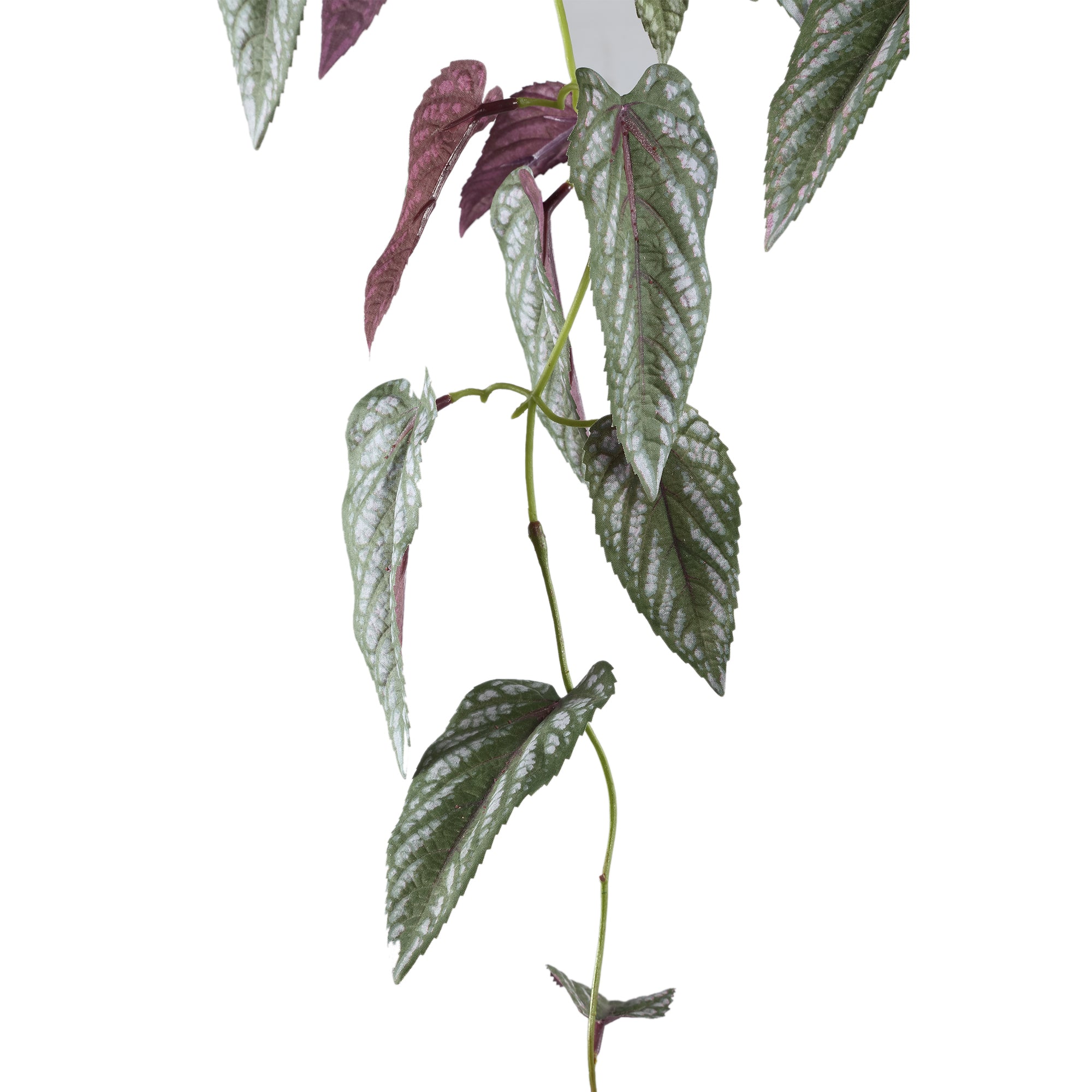 Leaves Plant green vine leaves Vert — Plante artificielle — vue 2 | Häus