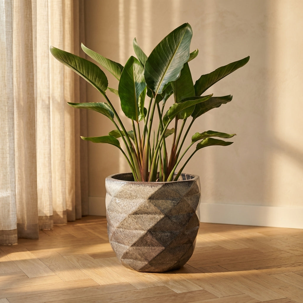 Lotte Pot en céramique - Default Title
